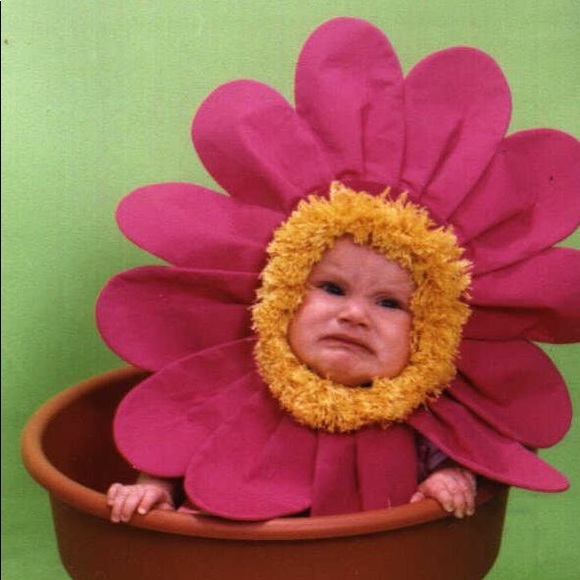 Meet your Posher, Jennifer - Picture 4 of 8